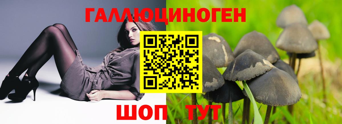 Псилоцибиновые грибы Magic Shrooms  Вход с VPN  Псилоцибиновые грибы Cubensis  Гай 